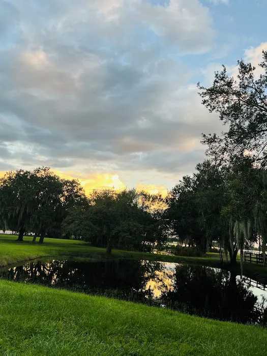 JS Watson Air Picture 1