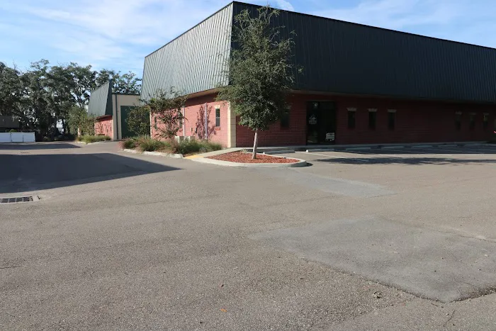 Comfort All-Stars Picture 7