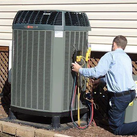 Bay Harbor Services Picture 2