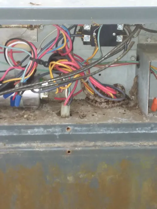 Coastal Edge Heating and Cooling LLC Picture 4