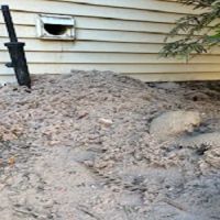 Elite HVAC/DUCT Cleaning ico