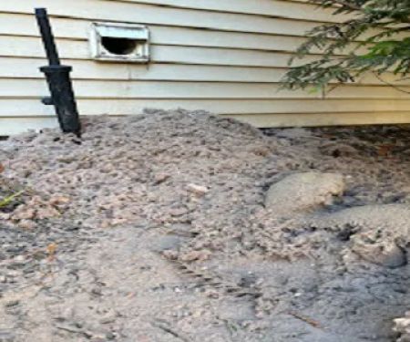 Elite HVAC/DUCT Cleaning