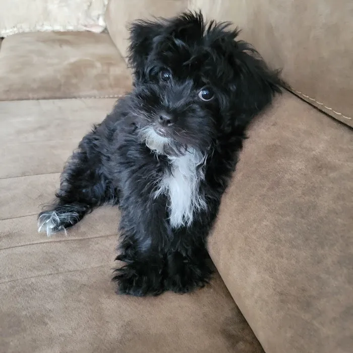 Cool Wizard Air Conditioning Services Picture 8