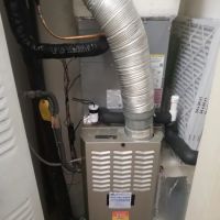 Harrison Hardy Inc ico