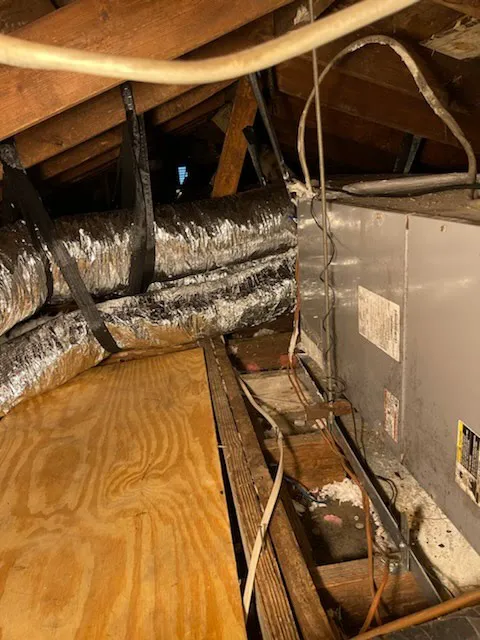 Happy Wife AC Picture 8