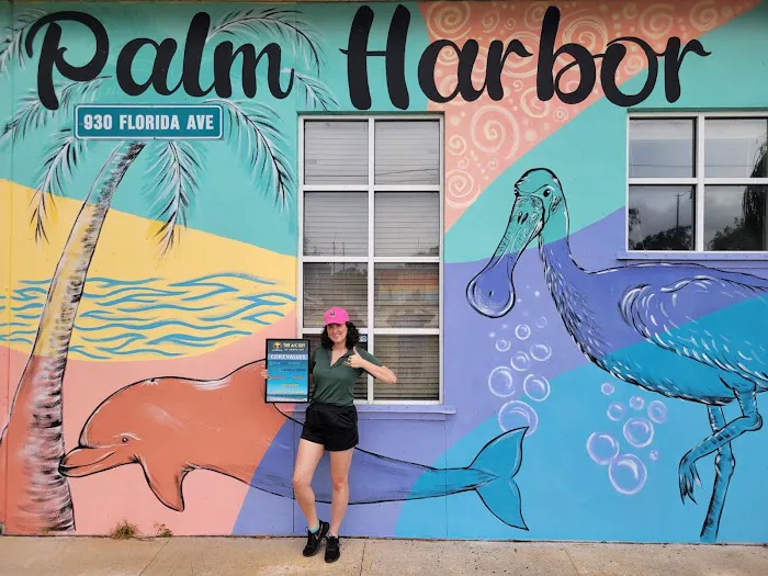 The AC Guy of Tampa Bay Inc Picture 9