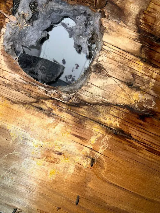 Cozy Bears Dryer Vent Services Clearwater Picture 3