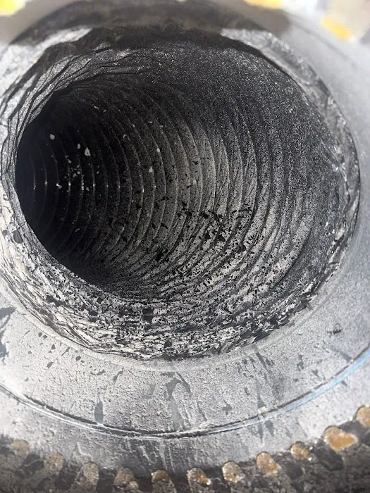 Cozy Bears Dryer Vent Services Clearwater Picture 1