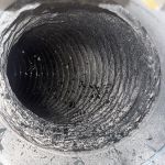 Cozy Bears Dryer Vent Services Clearwater