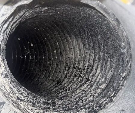 Cozy Bears Dryer Vent Services Clearwater