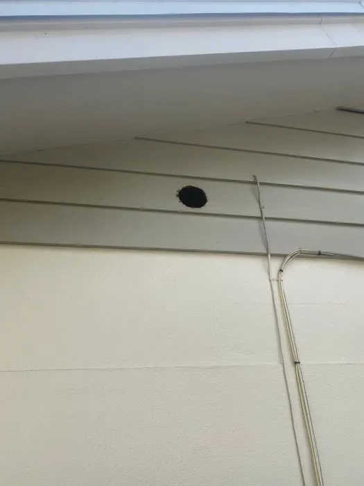 Cozy Bears Dryer Vent Services Clearwater Picture 7