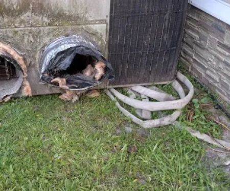 Higginbotham Brothers Construction