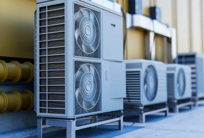 Chavez & Sons Picture 1