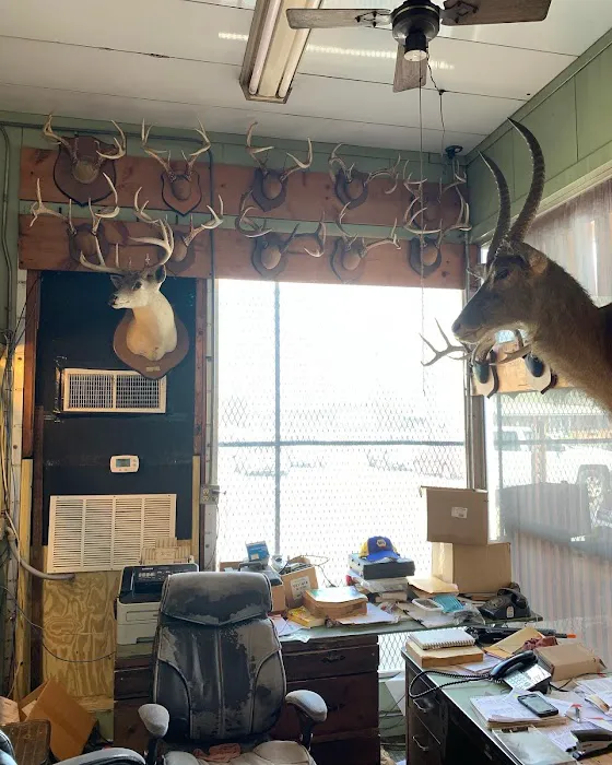 Dan's Auto Air Picture 5