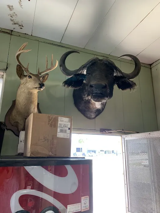 Dan's Auto Air Picture 6