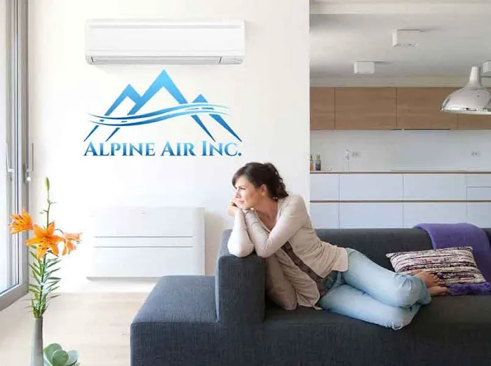 Alpine Air Inc. Picture 2