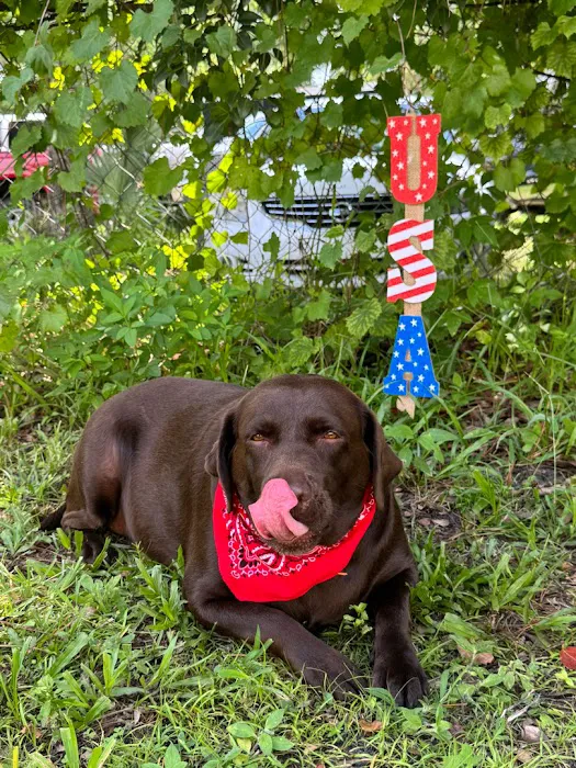 Southern Air Picture 10