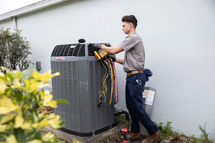 Ellington AC & Electric Picture 5