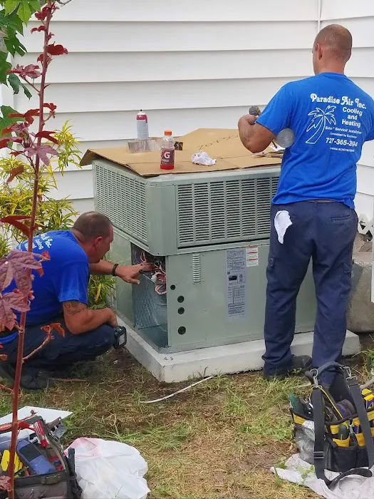 Paradise Air Inc Picture 8