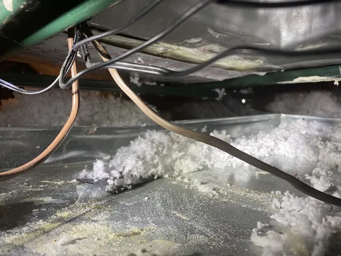 Technical Services: TSI Picture 1