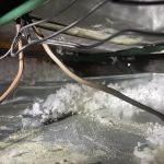 Technical Services: TSI