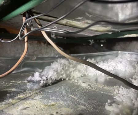 Technical Services: TSI