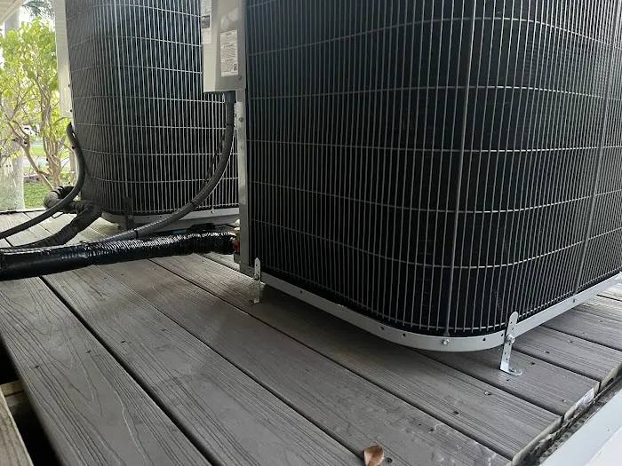 Really Professional Picture 2