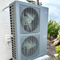 Really Professional ico