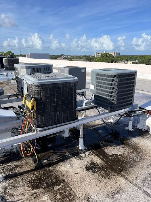 Really Professional Picture 6