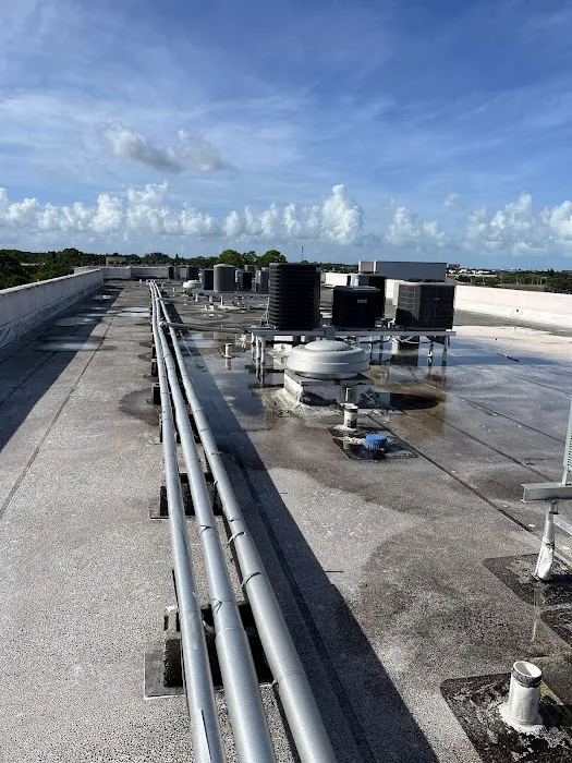 Really Professional Picture 7