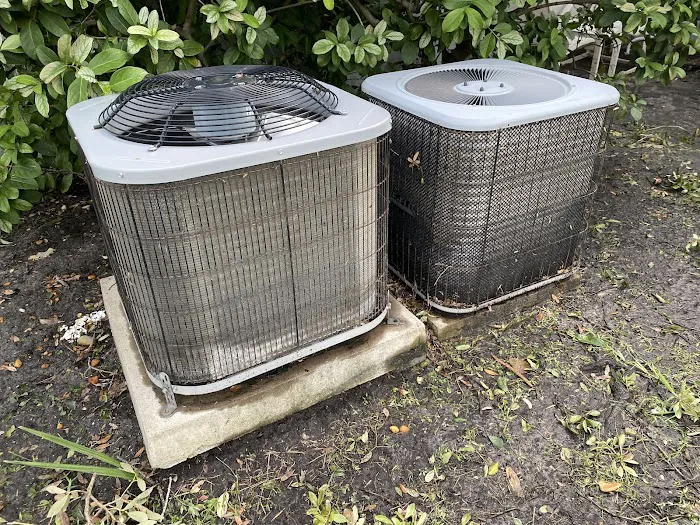 Really Professional Picture 8