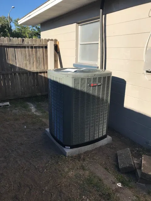 Sarah's Air Picture 6