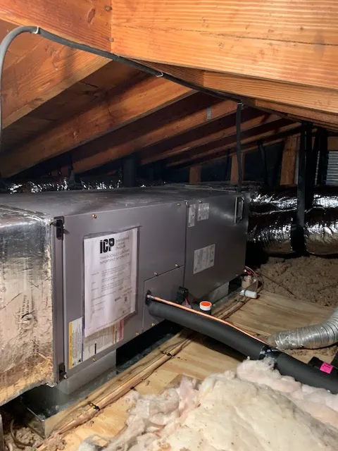 Sarah's Air Picture 5