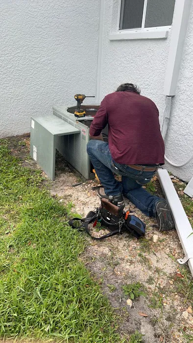 Cooling Tampa Bay Picture 9