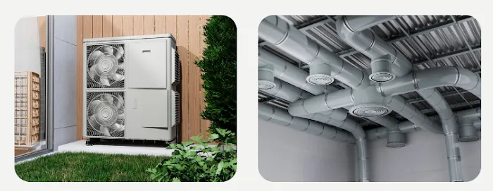 Domingo & Sons Picture 1