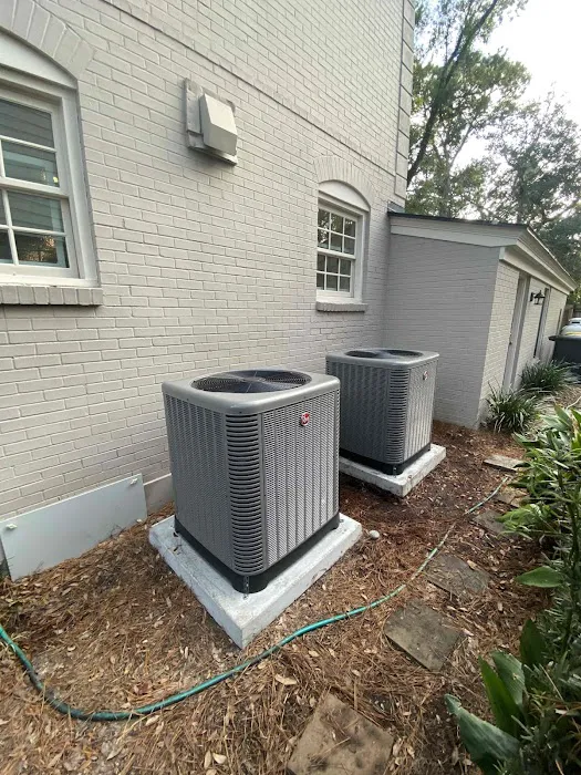 David Gray Picture 3