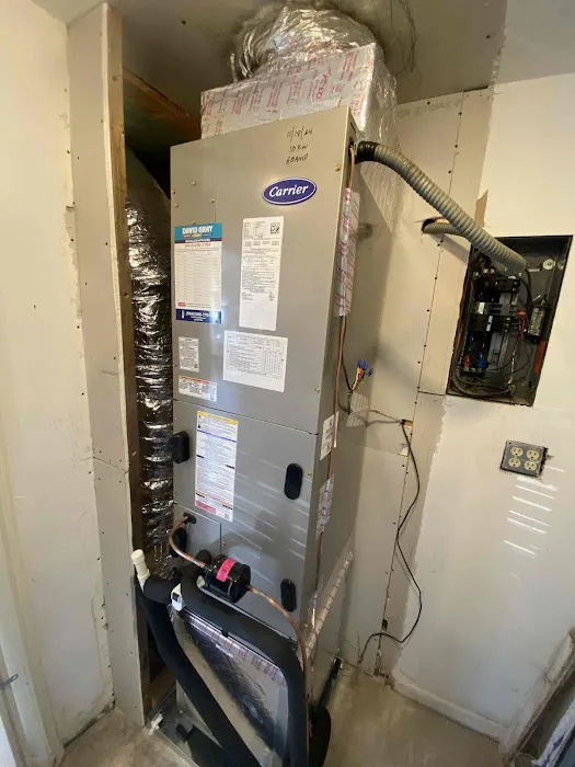 David Gray Picture 6