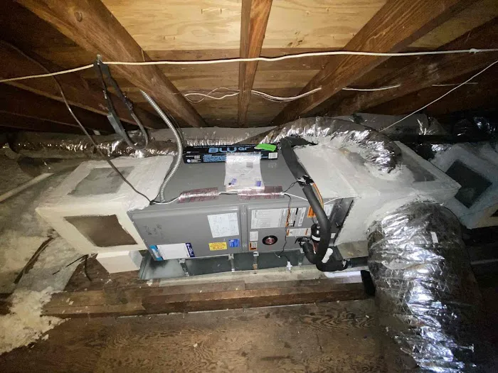 David Gray Picture 8