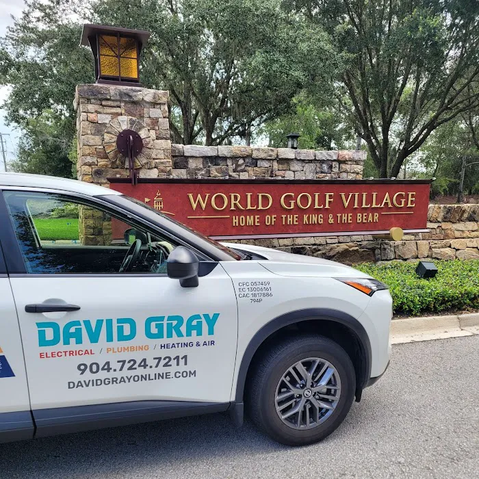 David Gray Picture 10