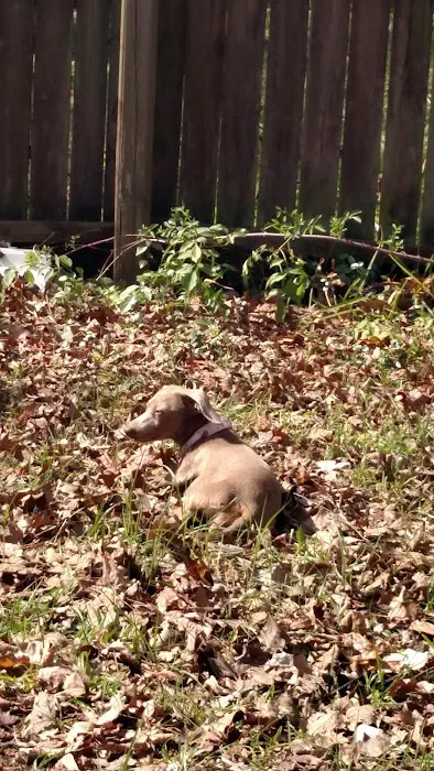 Absolute Affordable Heating & Cooling Inc. Picture 2