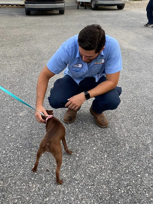 David Gray Plumbing Picture 9