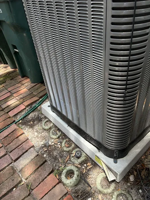 Tropic Aire Of North Florida Picture 3