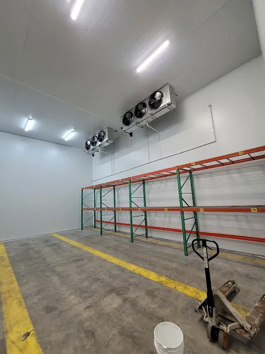 Credible AC Picture 4