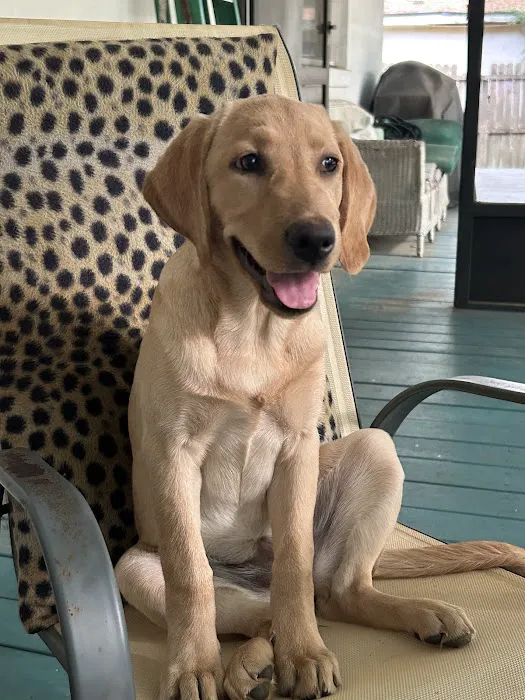 J&W Heating and Air & Plumbing Picture 4