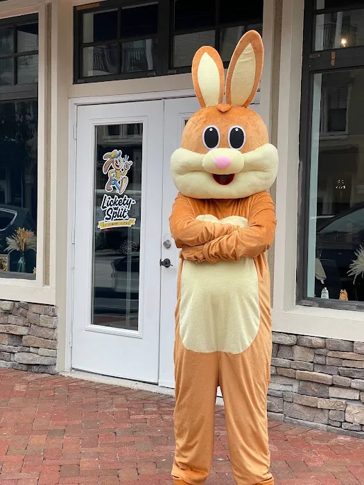 Lickety Split AC, Plumbing & Electric Picture 9