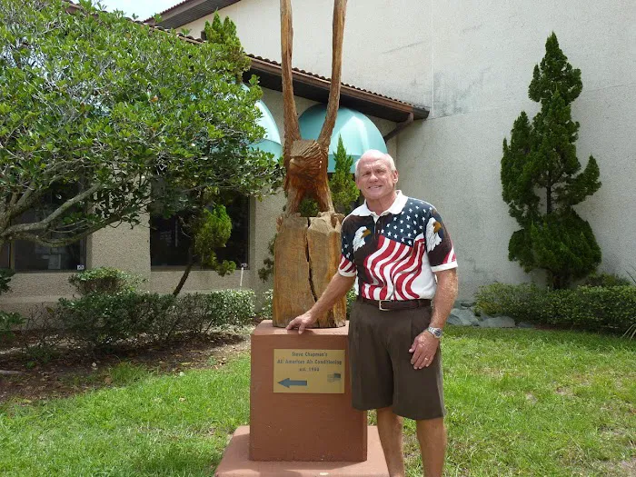 All American Air by Steve Chapman Picture 2