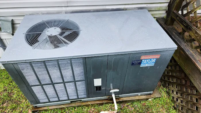 All American Air by Steve Chapman Picture 3