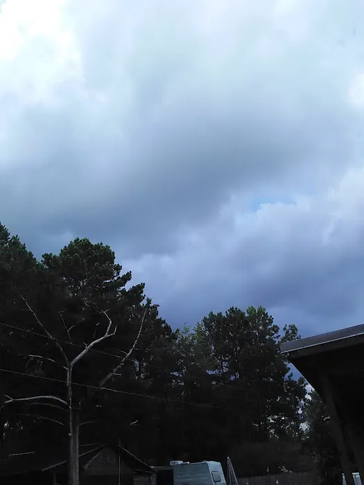 South Georgia Heating and Air/Refrigeration Picture 3