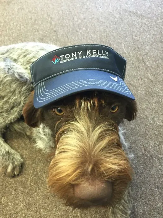 Tony Kelly Heating & Air Conditioning Picture 7