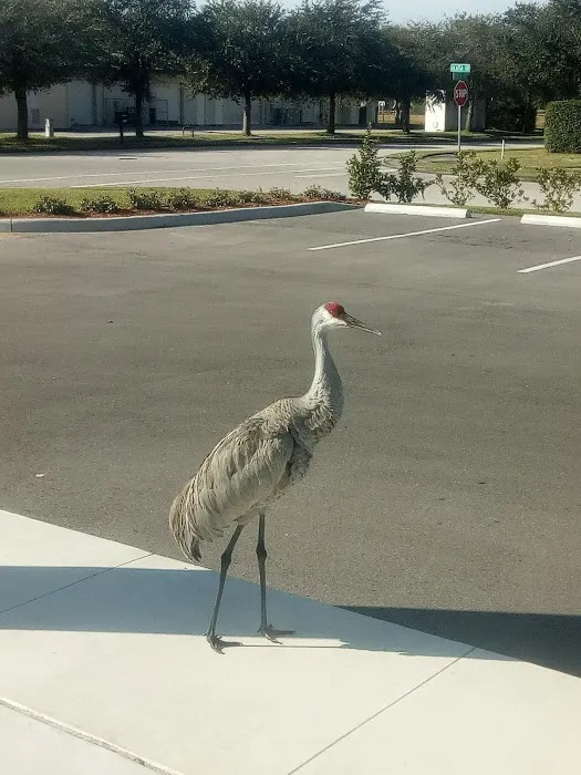 Wentzel's Heating & Air Conditioning Picture 3